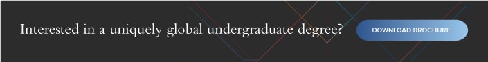 Hult global undergraduate