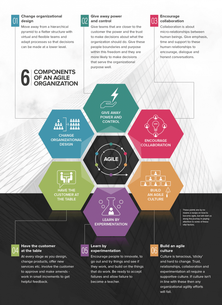 Six ways to build an agile organization