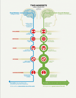 Fixed vs. growth mindset