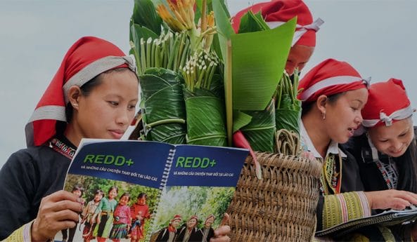 UN-REDD Programme in action