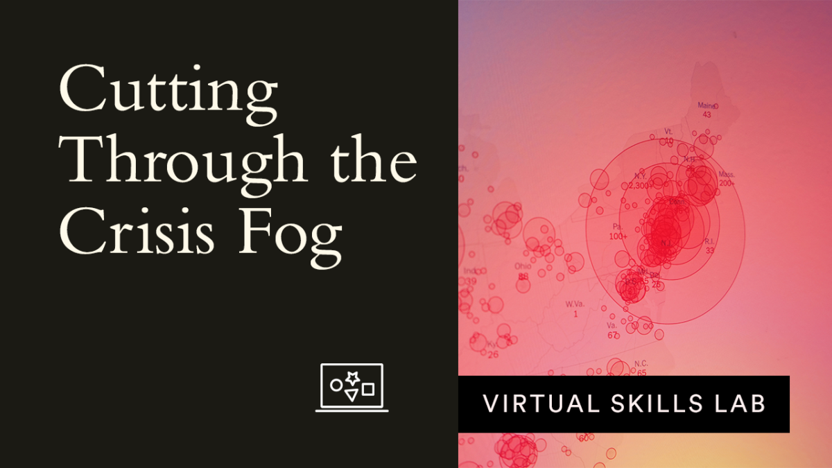 Virtual Skills Lab: Cutting Through the Crisis Fog