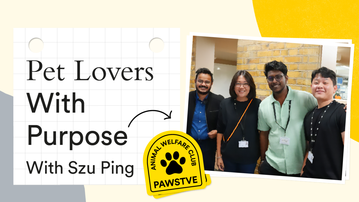 12-in-12 November: PAWSTVE—Pet Lovers with Purpose